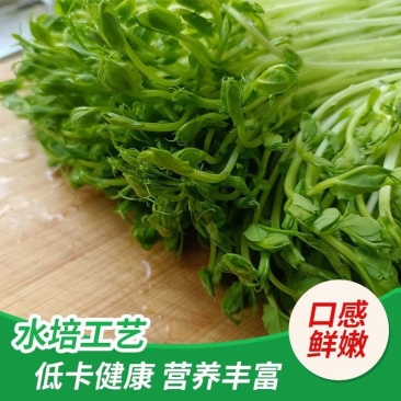 水培豌豆苗：只卖精品新鲜嫩芽，不追求质量的勿扰。