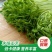 水培豌豆苗：只卖精品新鲜嫩芽，不追求质量的勿扰。
