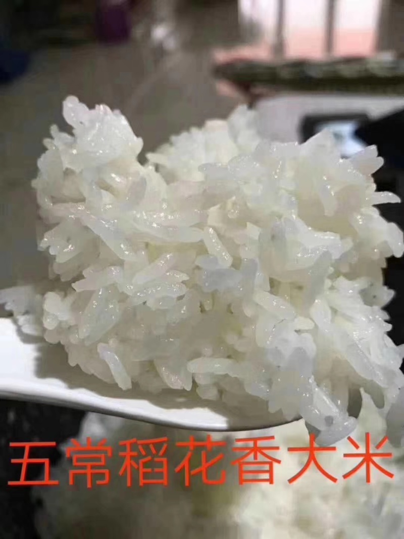 五常稻花香2号五常大米稻花香大米产地大量供欢迎来