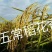 五常稻花香2号五常大米稻花香大米产地大量供欢迎来