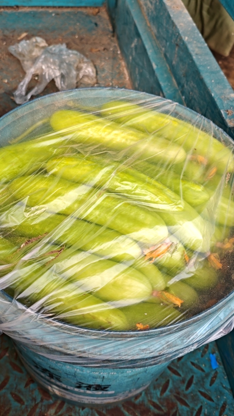 奶油白玉小黄瓜，口感脆甜