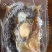 佛跳墙无科技预制菜诚信商家品质保证支持全国发货