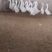 鹅