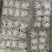 研磨鲜冻祛肚八爪鱼袋装速冻一件24盒适合饭店等