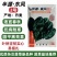 半源东风2号菠菜种子丹麦黑亮大叶菠菜种籽抗病耐寒春秋蔬菜