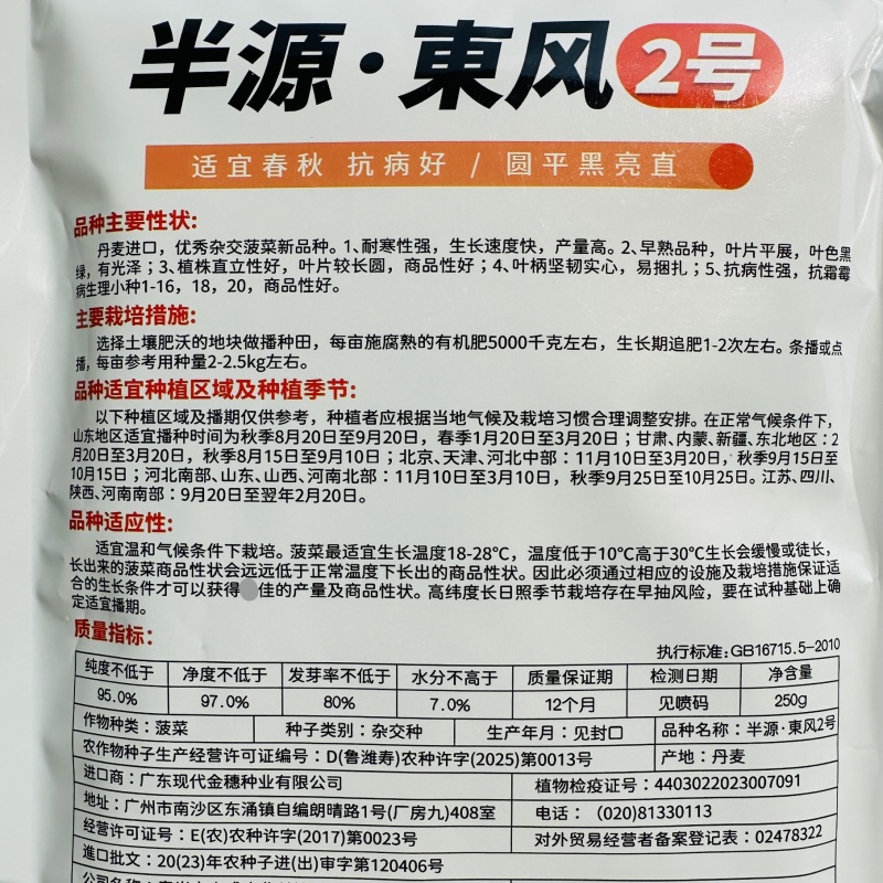 半源东风2号菠菜种子丹麦黑亮大叶菠菜种籽抗病耐寒春秋蔬菜