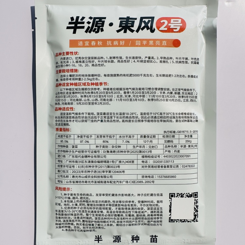 半源东风2号菠菜种子丹麦黑亮大叶菠菜种籽抗病耐寒春秋蔬菜