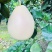 10万斤三红蜜柚大量出货，颜色红，皮毛亮，糖度高