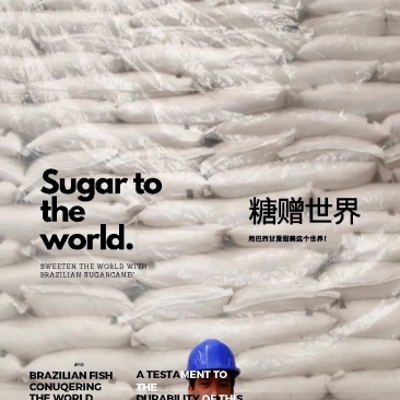 巴西45号白糖，可在巴西看货，435美金。