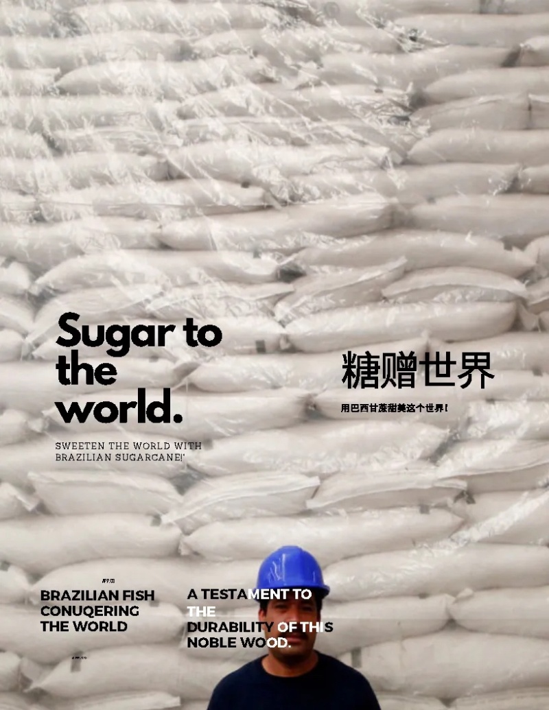 巴西45号白糖，可在巴西看货，435美金。