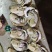 【看货定价】节日特价乳山生蚝大量批发规格齐全价格多样