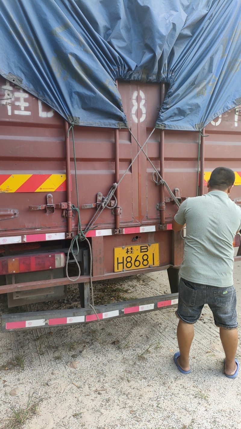 绿色农家饲料鸡鸭鹅鱼牛羊猪都喜欢吃，营养丰富。