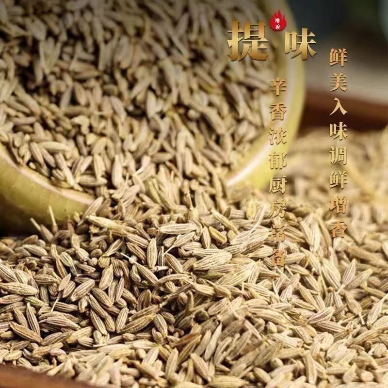 孜然中药材道地药材诚信经营中药材合作共赢