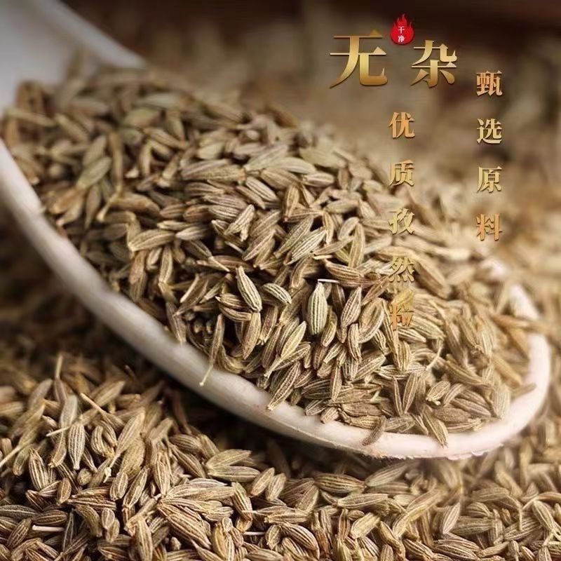 孜然中药材道地药材诚信经营中药材合作共赢