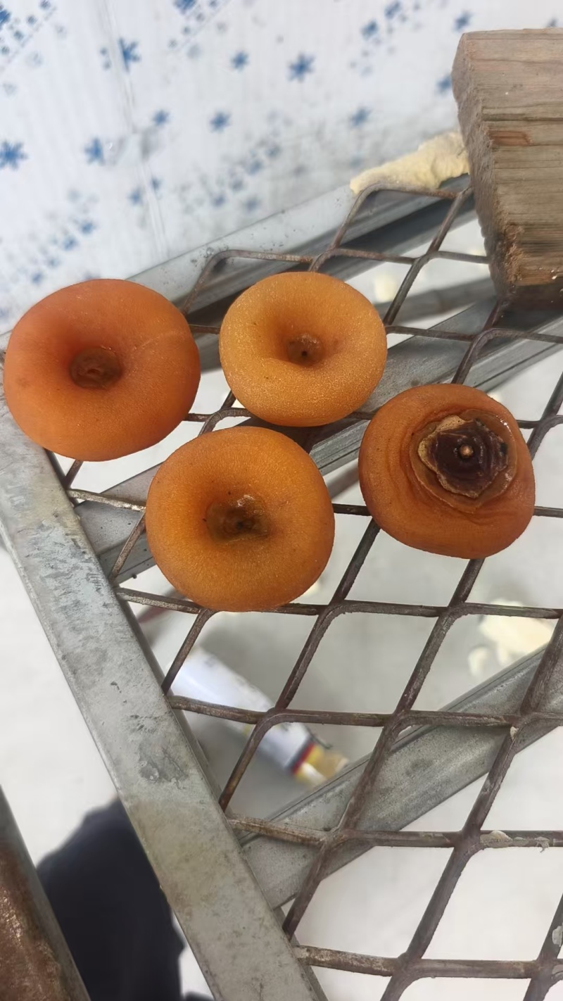 柿饼广西桂林柿饼，电商，微商，我们都能供货。