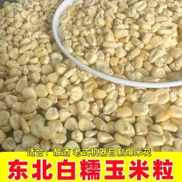 东北白糯玉米粒可烧酒可做玉米花可磨面磨碴子