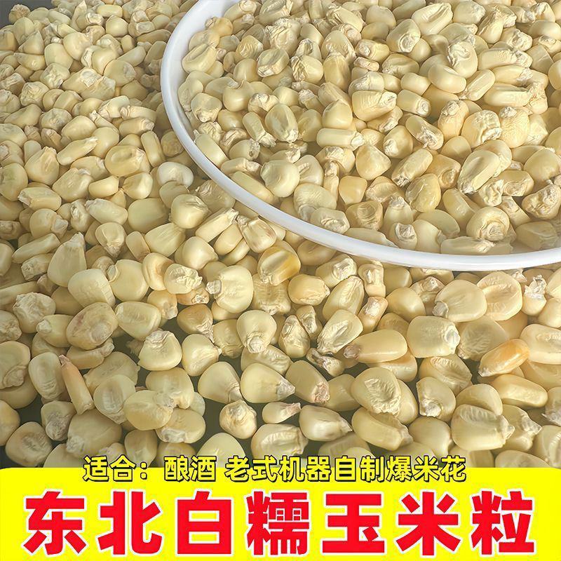 东北白糯玉米粒可烧酒可做玉米花可磨面磨碴子