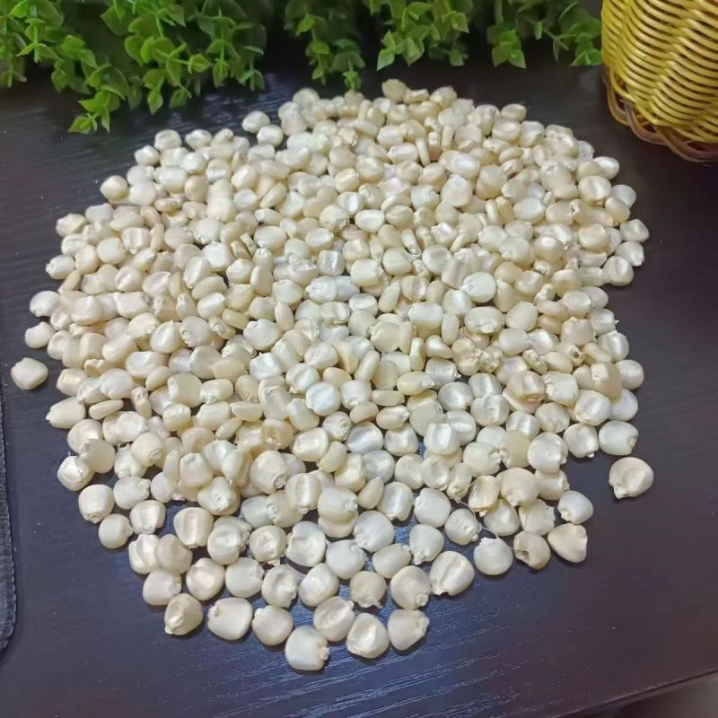 东北白糯玉米粒可烧酒可做玉米花可磨面磨碴子