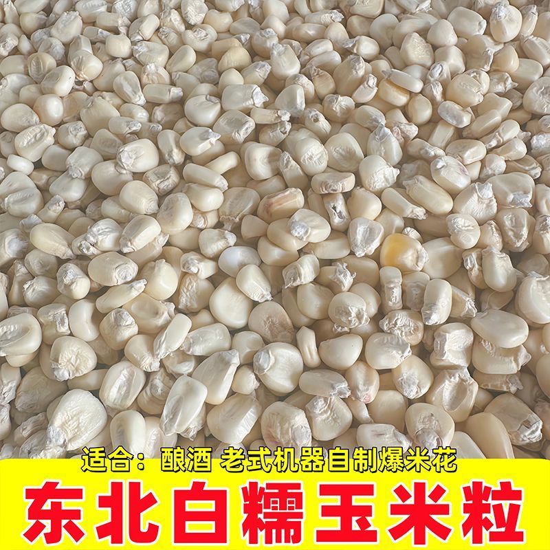 东北白糯玉米粒可烧酒可做玉米花可磨面磨碴子