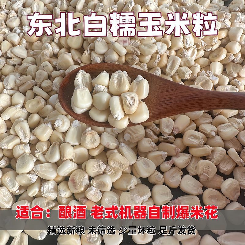 东北白糯玉米粒可烧酒可做玉米花可磨面磨碴子