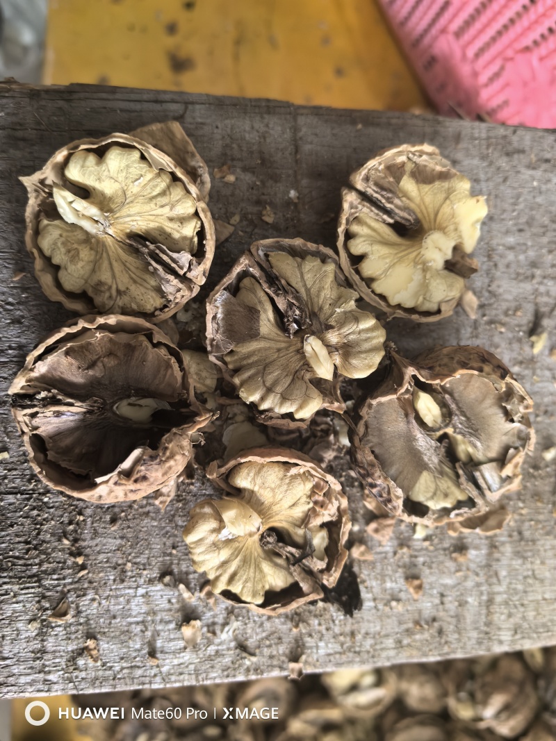 云南核桃源头直发精选优质大核桃，坏果包赔，
