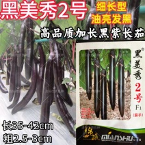 黑美秀2号黑紫长茄种子早熟细长线茄黑油亮顺直春大棚茄子种