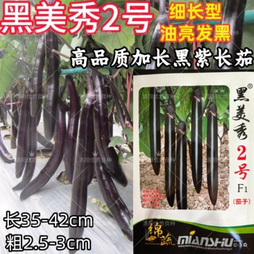 黑美秀2号黑紫长茄种子早熟细长线茄黑油亮顺直春大棚茄子种