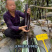 黑美秀2号黑紫长茄种子早熟细长线茄黑油亮顺直春大棚茄子种