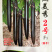 黑美秀2号黑紫长茄种子早熟细长线茄黑油亮顺直春大棚茄子种