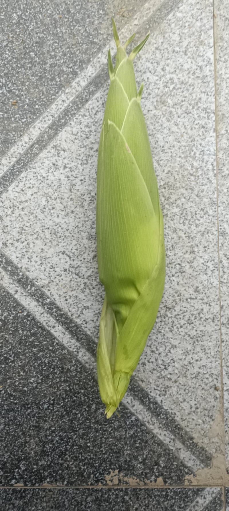 水果玉米