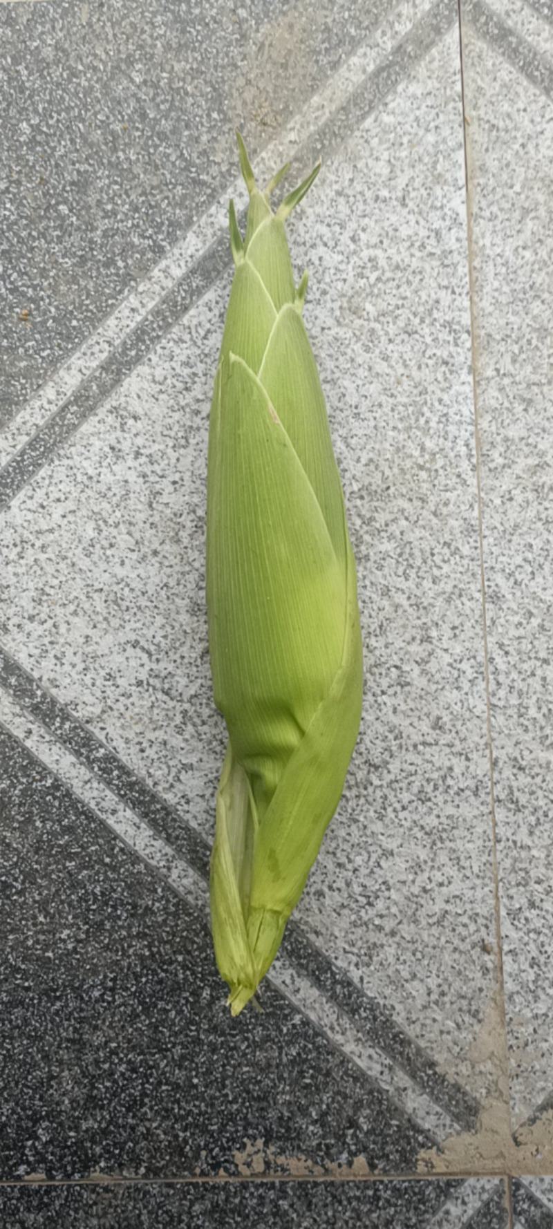 水果玉米
