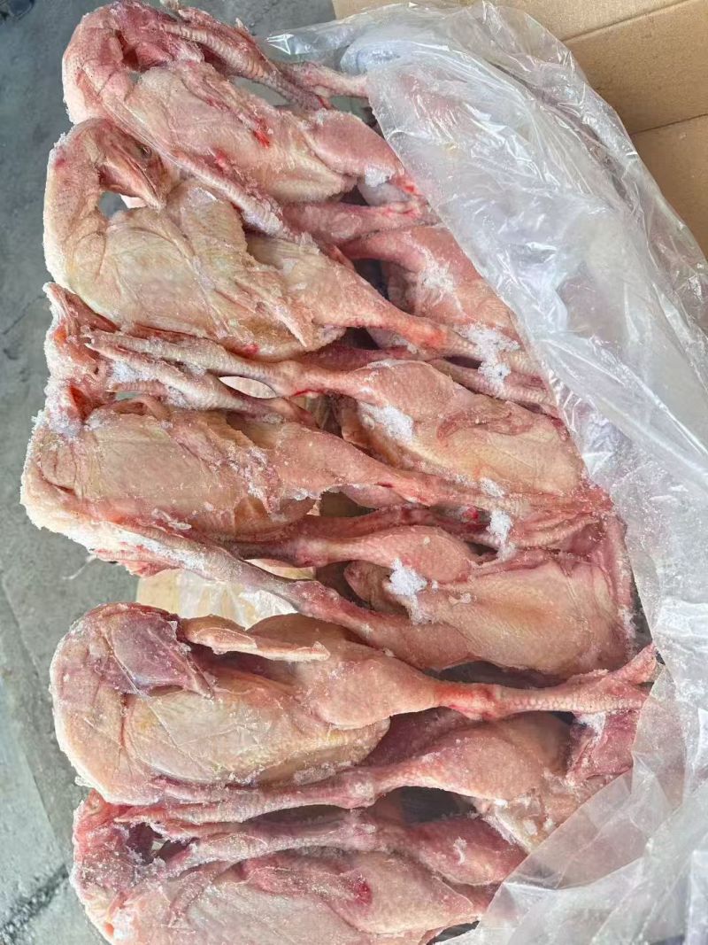 新鲜冷冻三黄鸡直脚三黄鸡9只10只童子鸡整鸡商用批发