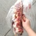牛肋排8肋牛肋排，可分割，瘦度非常好，价格美丽纯干货