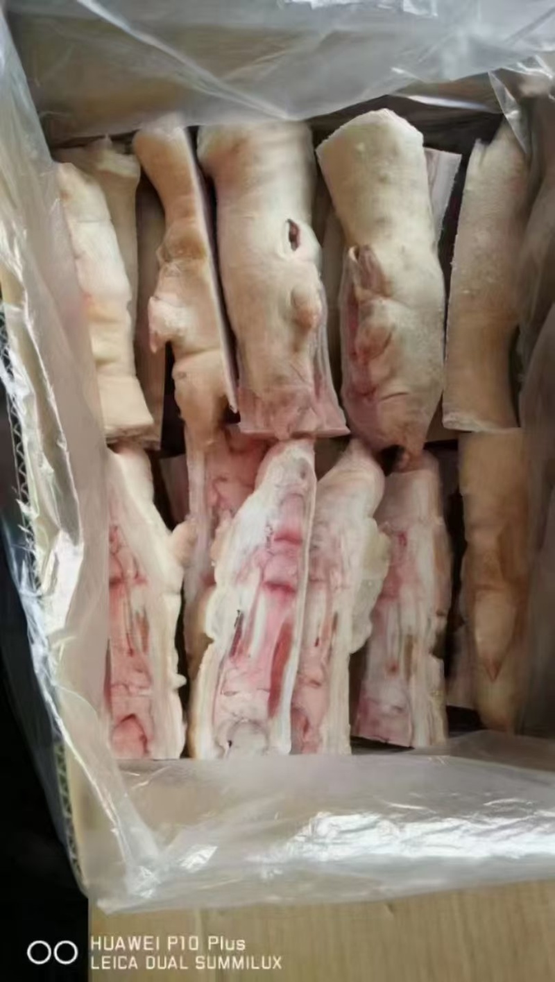 带筋猪蹄，一级二级都有，大小规格都有，一件20斤