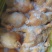 冷冻三黄鸡二级三黄鸡残鸡整箱19斤5-18只饭店食堂商用