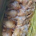 冷冻三黄鸡二级三黄鸡残鸡整箱19斤5-18只饭店食堂商用
