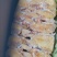 冷冻三黄鸡二级三黄鸡残鸡整箱19斤5-18只饭店食堂商用