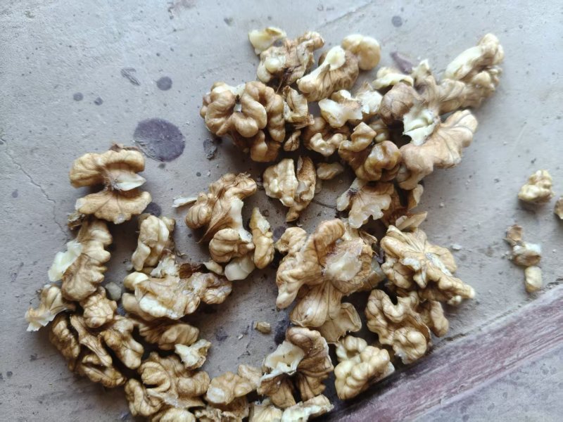 新品种薄皮核桃