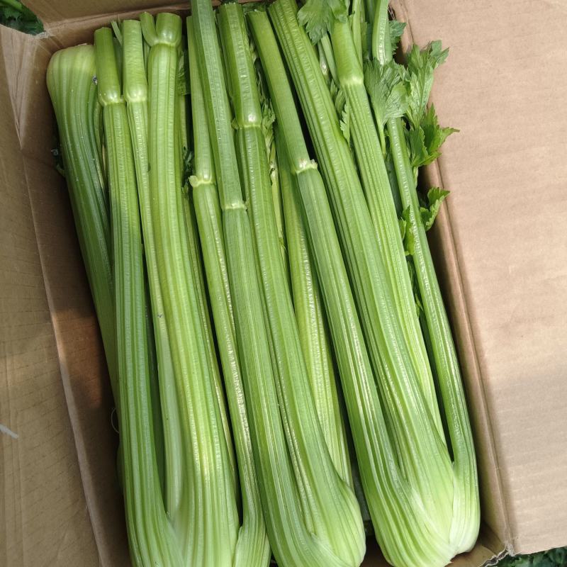精品西芹