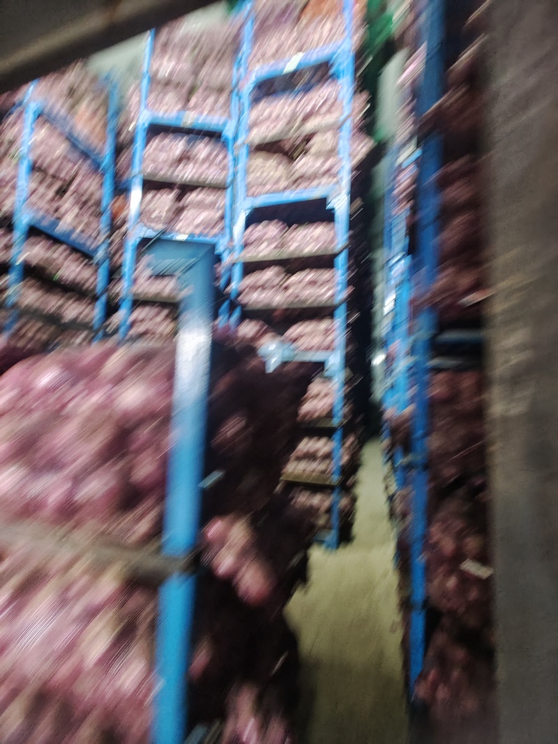 精品红相紫皮洋葱，80一120