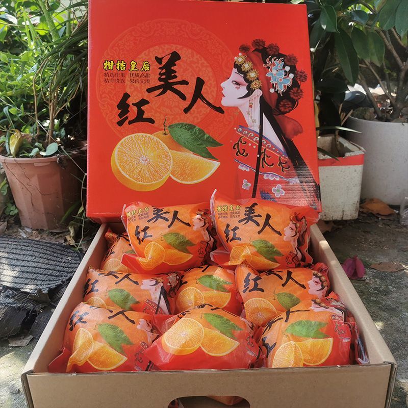 爱媛38果冻橙，柑桔皇后，保质量，欢迎市场电商合作共赢。