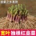 韭菜根一手货源，支持一件发货，货源充足，欢迎各位老板