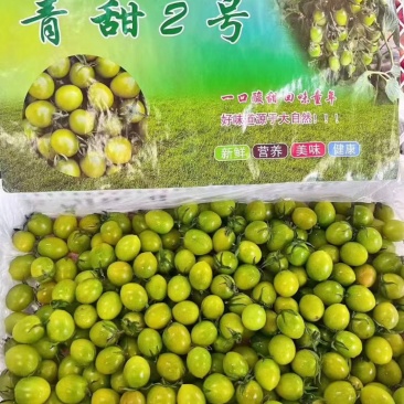 青甜小番茄精品礼盒超市市场批发零售