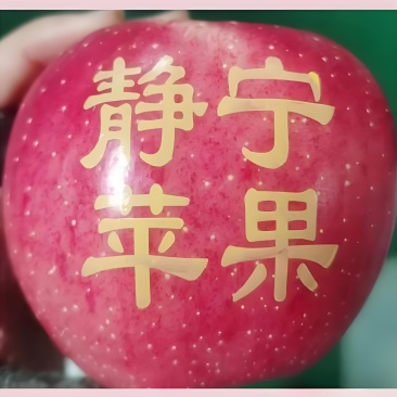 吃遍天下苹果，还是静宁红富士苹果好吃
