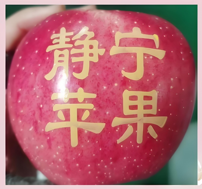 吃遍天下苹果，还是静宁红富士苹果好吃
