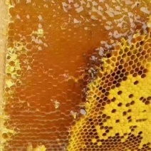 广东梅州正宗土蜂蜜，龙眼蜜，自产自销。量大从优！