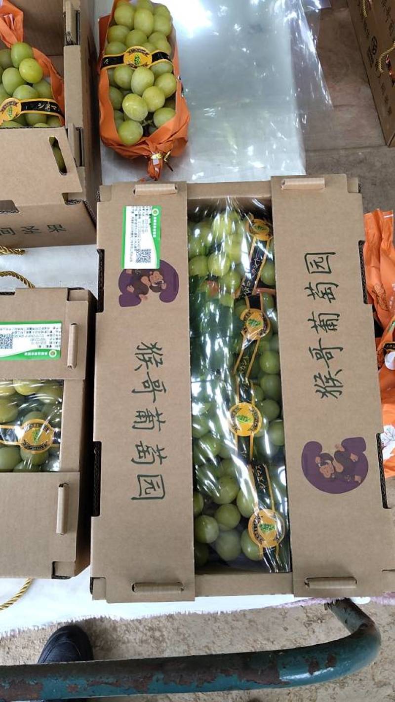 新鲜葡萄，