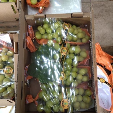 新鲜葡萄，