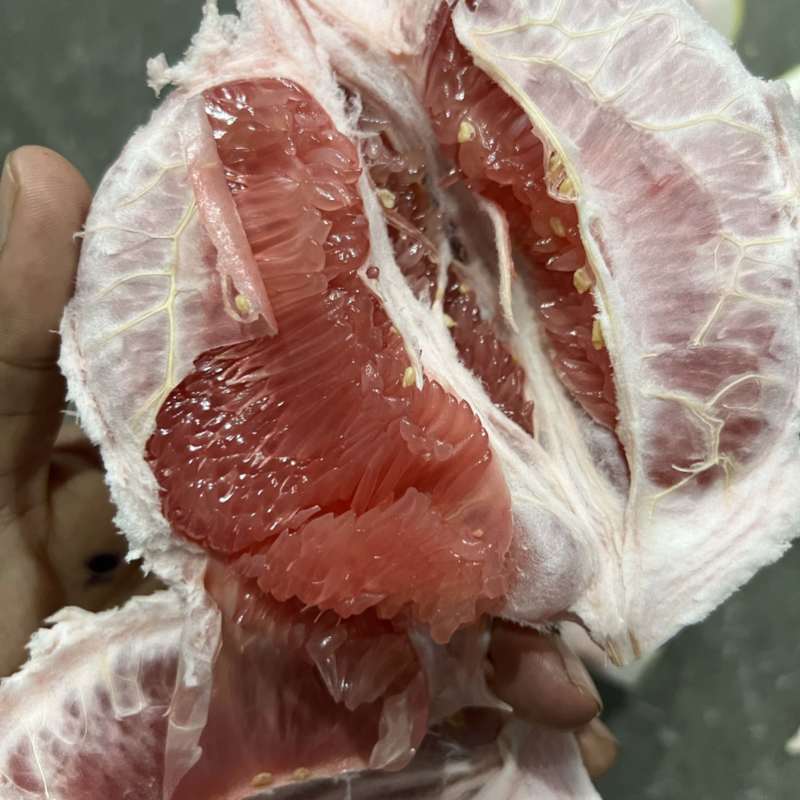 水分足甜度够