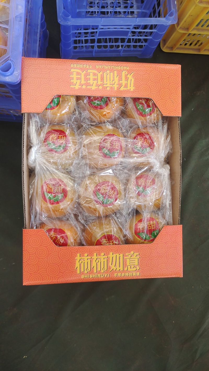 【只做出口】平乐新鲜脆柿子